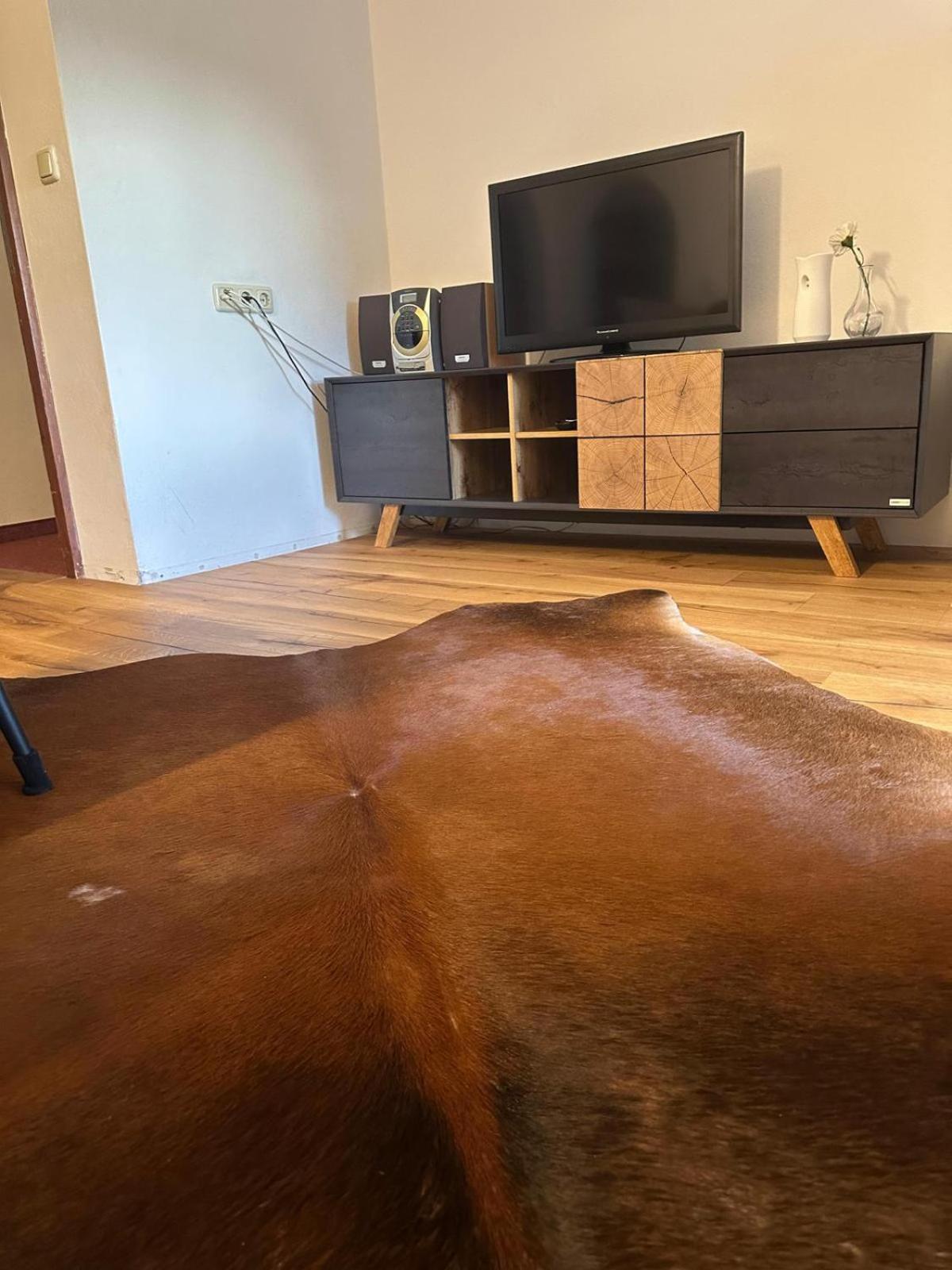 Stille Oase Apartment Panorama Bruck an der Grossglocknerstrasse Bagian luar foto